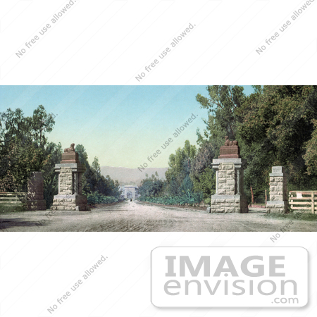 #41021 Stock Photo Of The Entry Road To Leland Standford Junior University, Or Stanford, California by JVPD