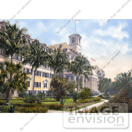 #41065 Stock Photo Of Palm Trees In Front Of The Royal Poinciana Hotel In Palm Beach, Florida by JVPD