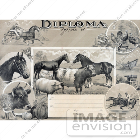 #41295 Stock Illustration of an Agricultural Diploma With Jockeys Racing Horses, Livestock, Produce And Farming Tools by JVPD