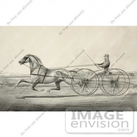 #41337 Stock Illustration of a Harness Racer Driving A Trotting Horse by JVPD