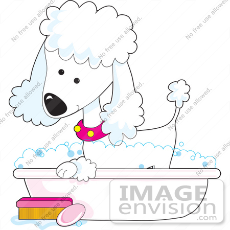 #41629 Clip Art Graphic of a Bathing White Poodle in a Tub by Maria Bell