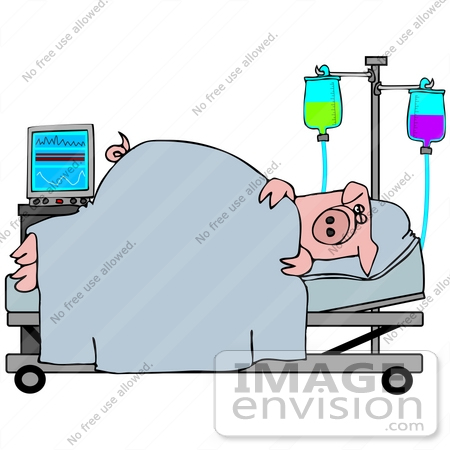 #42367 Clip Art Graphic of an Ill Pig Recovering In A Hospital by DJArt