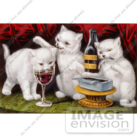 #5290 White Cats Drinking Wine by JVPD