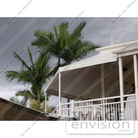 #53823 Royalty-Free Stock Photo of palm trees and a storm over a house by Maria Bell