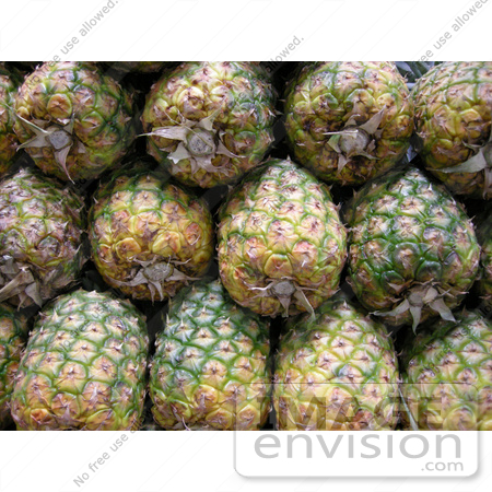 #53882 Royalty-Free Stock Photo of a Pineapples by Maria Bell