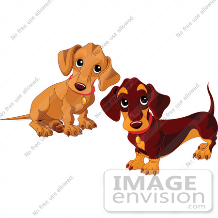 #56245 Royalty-Free (RF) Clip Art Of Two Dachshund Puppies by pushkin