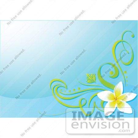 #56293 Royalty-Free (RF) Clip Art Illustration Of A Blue Background With A Plumeria Flower Corner Accent by pushkin