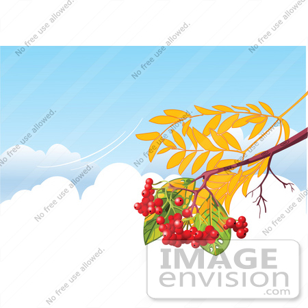 #56323 Royalty-Free (RF) Clip Art Illustration Of An Autumn Branch With Berries, Over Clouds In A Blue Sky With A Breeze by pushkin