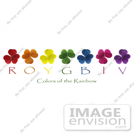 #589 Picture of the Colors of the Rainbow Shown With Clovers by Jamie Voetsch