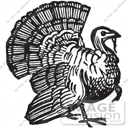#61367 Retro Clipart Of A Vintage Thanksgiving Turkey Bird Gobbler In Black And White - Royalty Free Vector Illustration  by JVPD