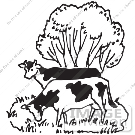 #61600 Clipart Of Cows Grazing By A Tree In Black And White - Royalty Free Vector Illustration by JVPD