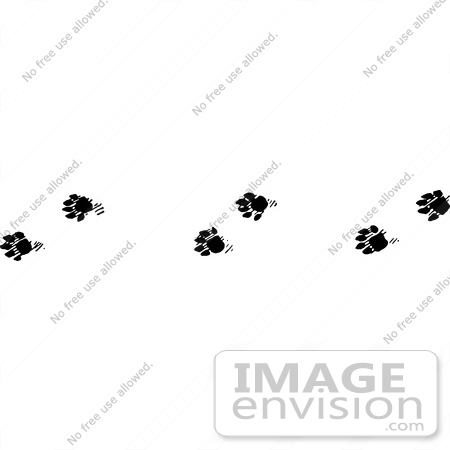 #61649 Clipart Of Marten Tracks In Black And White - Royalty Free Vector Illustration by JVPD