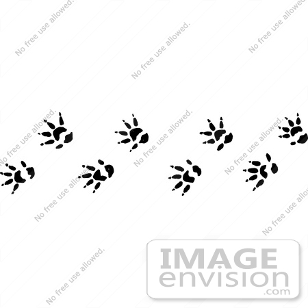 #61655 Clipart Of Opossum Tracks In Black And White - Royalty Free Vector Illustration by JVPD