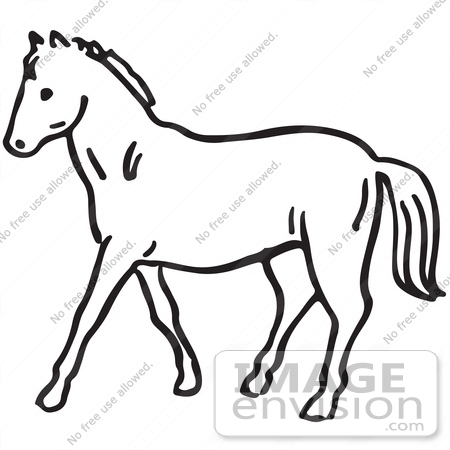 #61697 Clipart Of A Horse In Black And White - Royalty Free Vector Illustration by JVPD