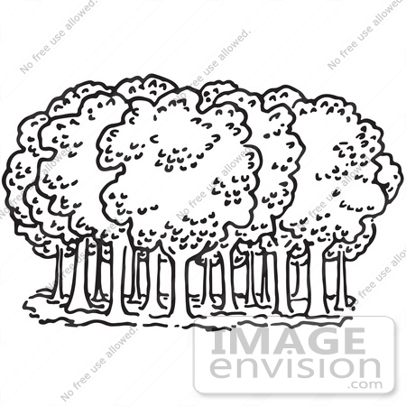 #61771 Clipart Of Trees In A Forest In Black And White - Royalty Free Vector Illustration by JVPD