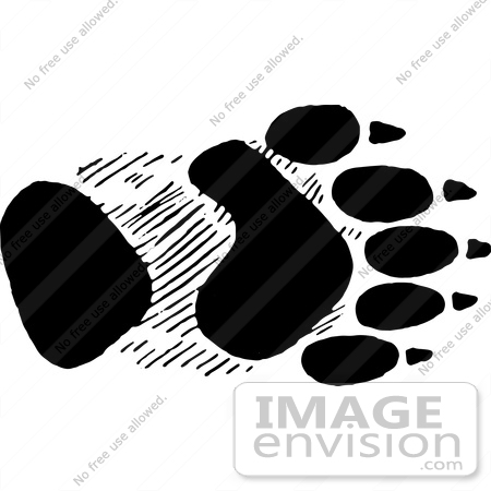 #61791 Clipart Of A Bear Front Foot Track In Black And White - Royalty Free Vector Illustration by JVPD