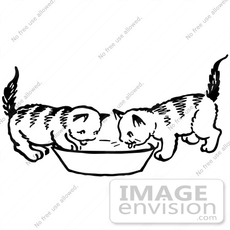 #61907 Clipart Of Two Kittens Drinking From A Saucer In Black And White - Royalty Free Vector Illustration by JVPD