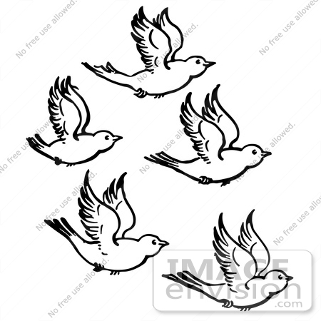 #61916 Clipart Of Five Flying Birds In Black And White - Royalty Free Vector Illustration by JVPD