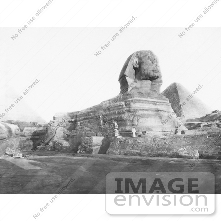 #6479 Side View of the Great Sphinx by JVPD