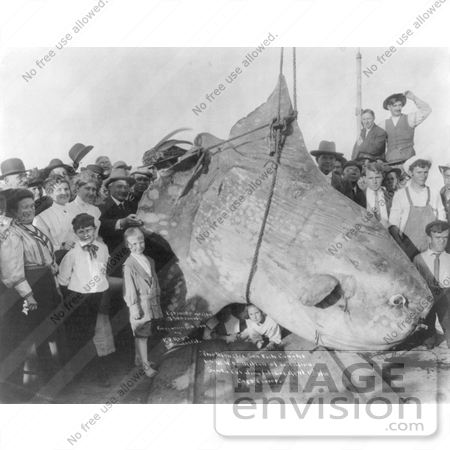 #6844 Black and White Stock Photo of People Standing by a Caught 3500 lb Sun Fish by JVPD