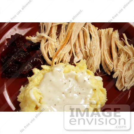 #7722 Photo of Turkey, Mashed Potatoes and Cranberry Sauce by Jamie Voetsch
