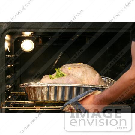 #7723 Picture of Putting a Turkey in the Oven by Jamie Voetsch