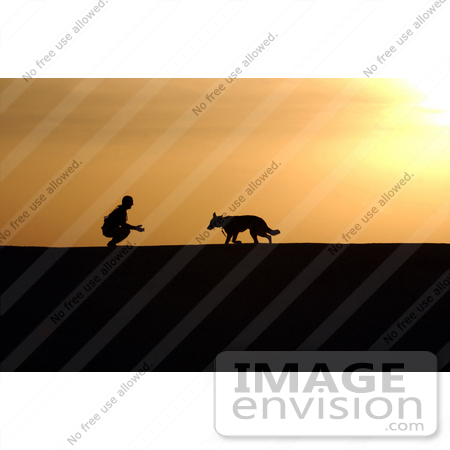 #8930 Picture of a Man and Dog at Sunset by JVPD