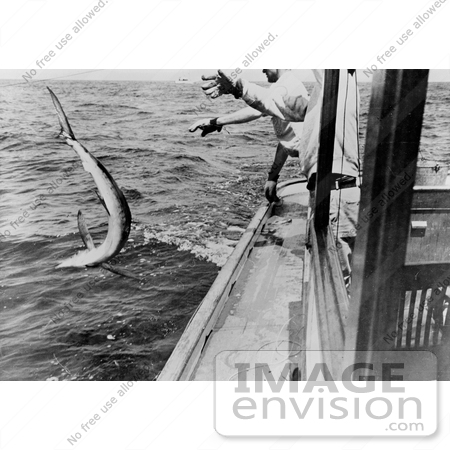 #9781 Picture of Tossing a Swordfish by JVPD