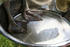 #10972 Picture of an African Gosling in a Water Dish by Jamie Voetsch