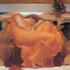 #19247 Picture of a Woman Sleeping in an Orange Gown Flaming June by Frederic Lord Leighton by JVPD