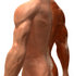 #49777 Royalty-Free (RF) Illustration Of A 3d Closeup Of A Human Man’s Back and Arm Muscles - Version 3 by Julos