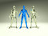 #49921 Royalty-Free (RF) Illustration Of A Group Of Blue And Clear 3d Crystal Men Characters - Version 3 by Julos