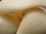 Raw Garlic Cloves