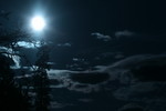 Full Moon with Trees and Clouds