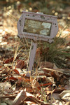 Pink Grave Tag