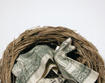 Money in a Nest