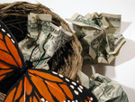 Butterfly in a Nest With Crumpled Cash