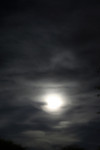 Moon in the Night Sky
