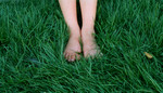 Child's Feet in Green Grass