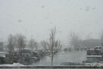 Snow Falling Over a Parking Lot