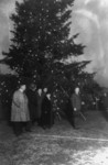 President Coolidge Illuminating the Community Christmas Tree, 19