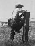 Indiana Farmer Sitting on Fence