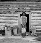 African American Sharecropper