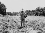 Man Planting Corn