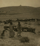 Battlefield of Bethzur