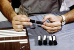 Field Researcher Placing Stoppers in Tubes Filled with Mosquitoes that will be used for Arbovirus Studies