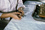 Laboratory Technician Labeling Vials of Mosquito Suspension During an Arbovirus Study