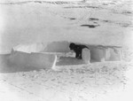 Eskimo Building an Igloo