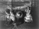 Adgie in Cage With 3 Lions