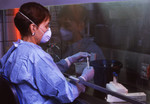 Scientist Working Under a Biohazardous Material Ventilated Filtration Hood